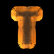 orange lattice T